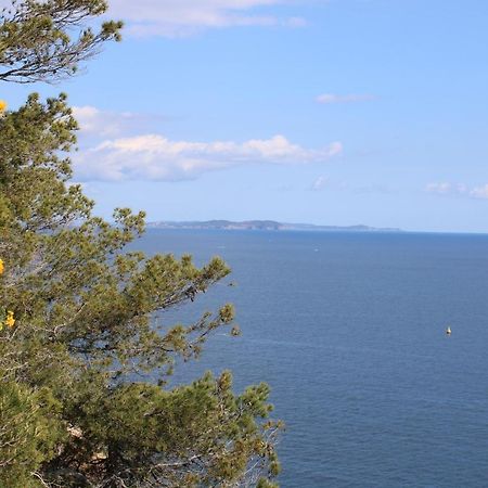 Studio L'Echappee Mandreenne Le Calme Entre Mer Et Foret Saint-Mandrier-sur-Mer Esterno foto