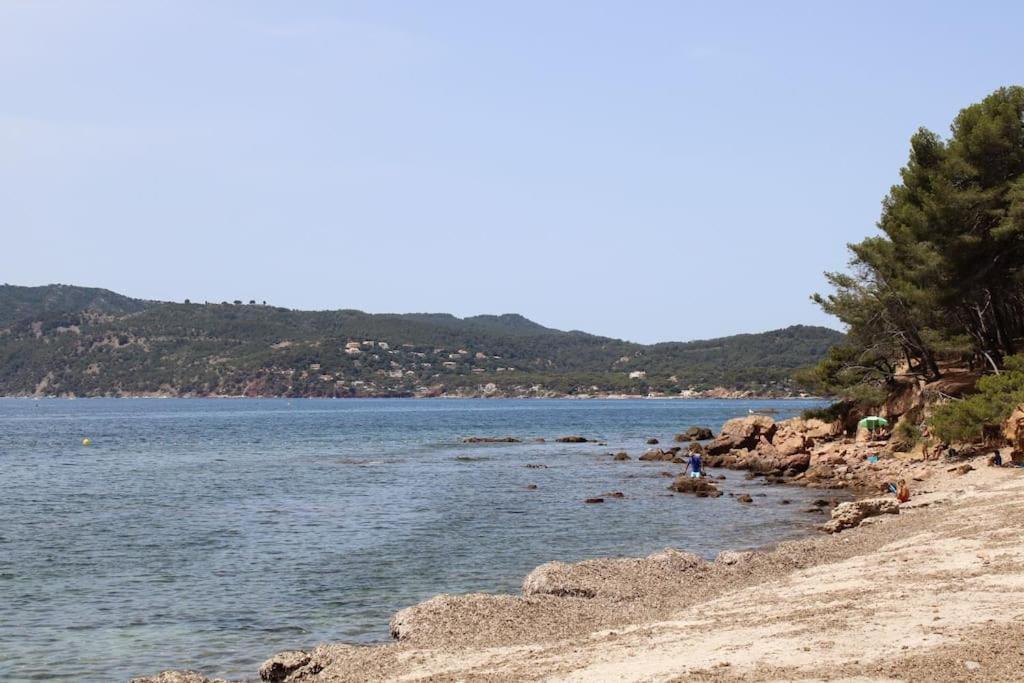 Studio L'Echappee Mandreenne Le Calme Entre Mer Et Foret Saint-Mandrier-sur-Mer Esterno foto