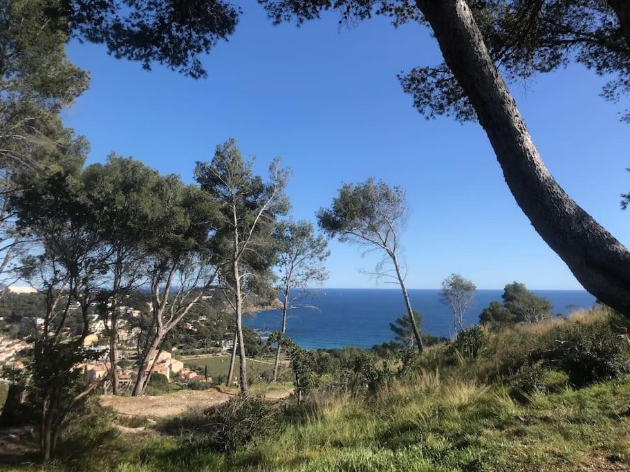 Studio L'Echappee Mandreenne Le Calme Entre Mer Et Foret Saint-Mandrier-sur-Mer Esterno foto