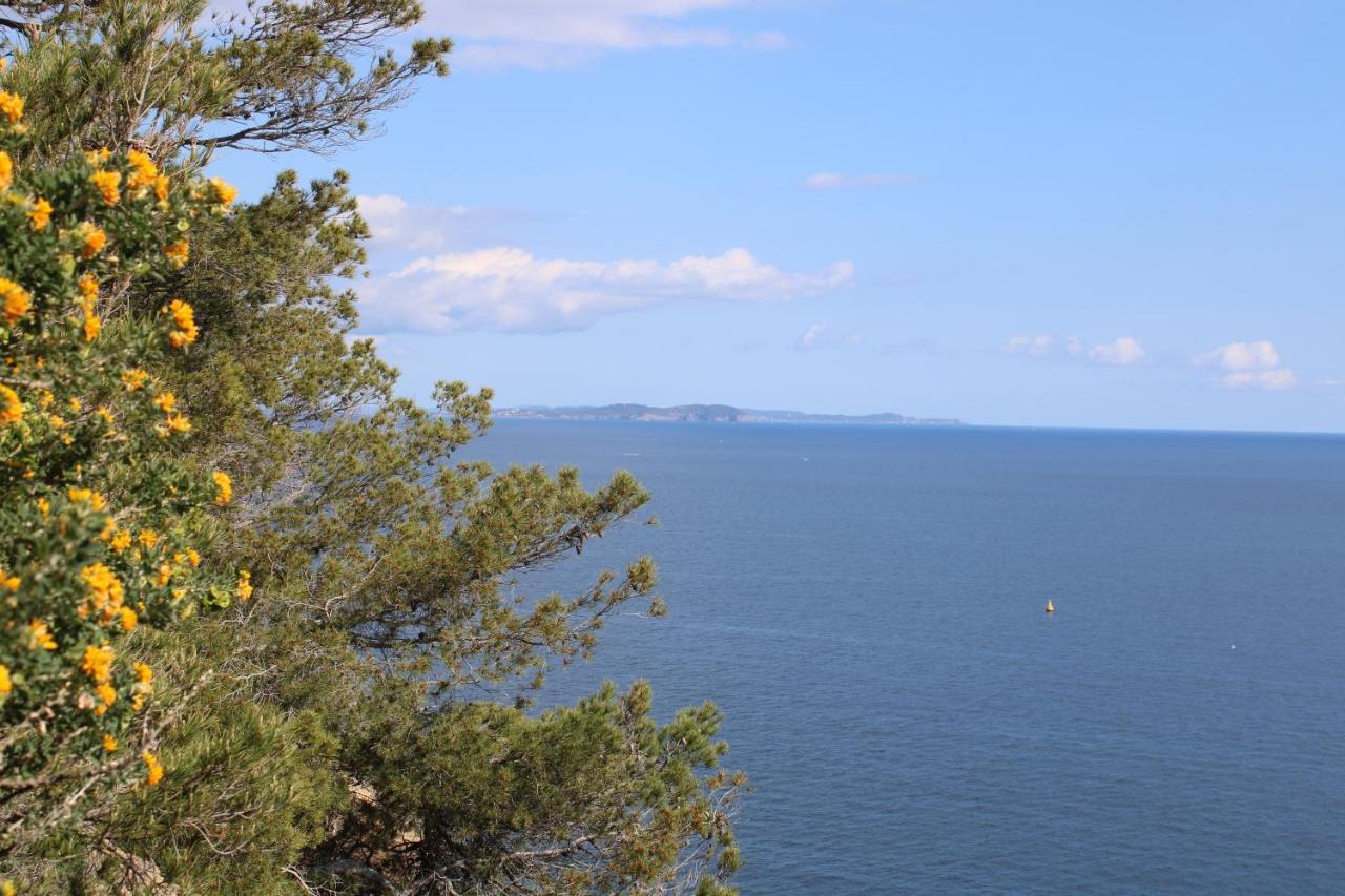 Studio L'Echappee Mandreenne Le Calme Entre Mer Et Foret Saint-Mandrier-sur-Mer Esterno foto